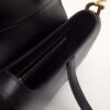 Dior Saddle