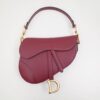 Dior Saddle