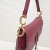 Dior Saddle