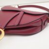 Dior Saddle