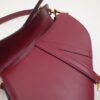 Dior Saddle