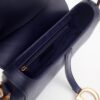 Dior Saddle