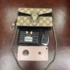 Gucci Dionysus Mini