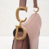 Dior Saddle