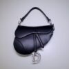 Dior Saddle