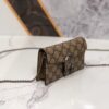 Gucci Dionysus Mini
