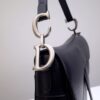 Dior Saddle
