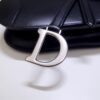 Dior Saddle