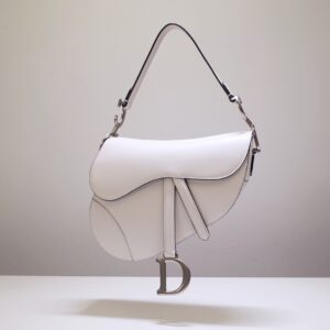 Dior Saddle