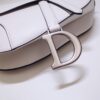Dior Saddle