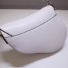 Dior Saddle