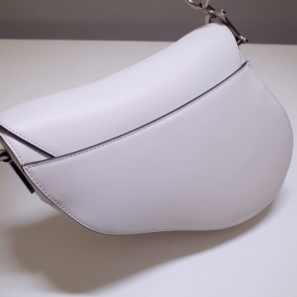 Dior Saddle