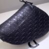 Dior Saddle