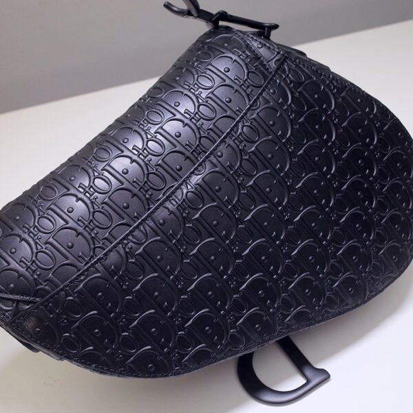 Dior Saddle
