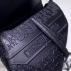 Dior Saddle