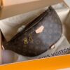 Louis Vuitton Bumbag