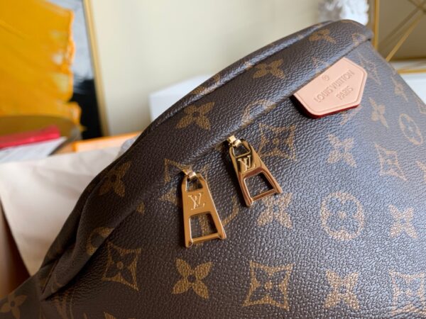 Louis Vuitton Bumbag