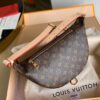 Louis Vuitton Bumbag