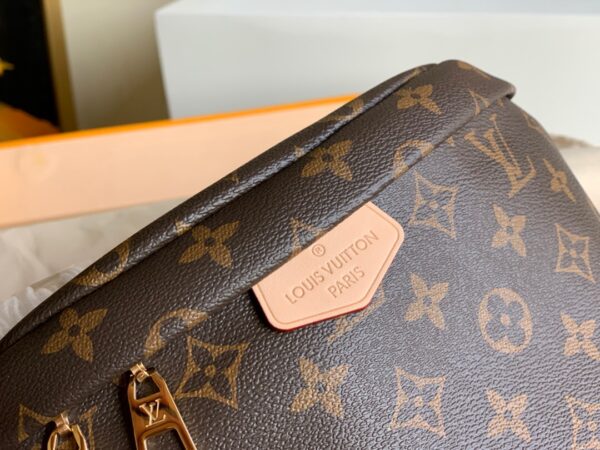 Louis Vuitton Bumbag