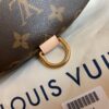 Louis Vuitton Bumbag