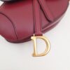 Dior Saddle