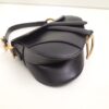 Dior Saddle