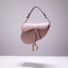 Dior Saddle