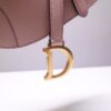 Dior Saddle