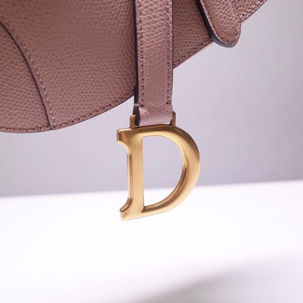 Dior Saddle