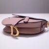 Dior Saddle
