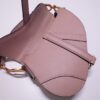 Dior Saddle