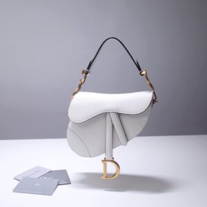 Dior Saddle