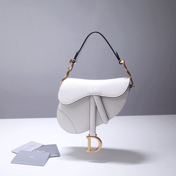 Dior Saddle