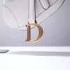 Dior Saddle