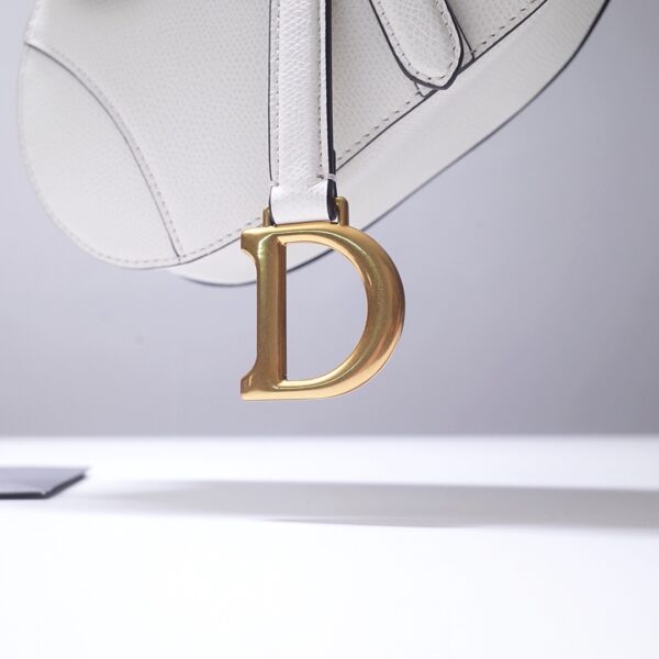 Dior Saddle