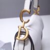 Dior Saddle