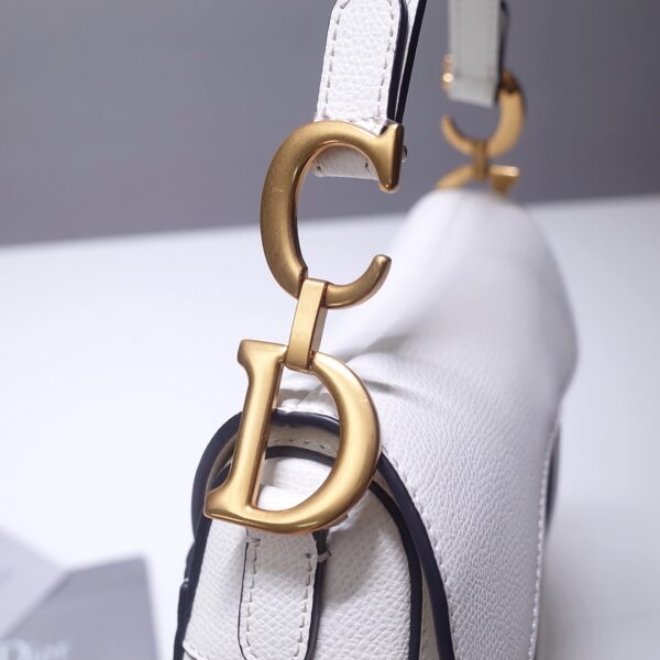 Dior Saddle