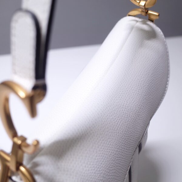 Dior Saddle