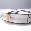 Dior Saddle