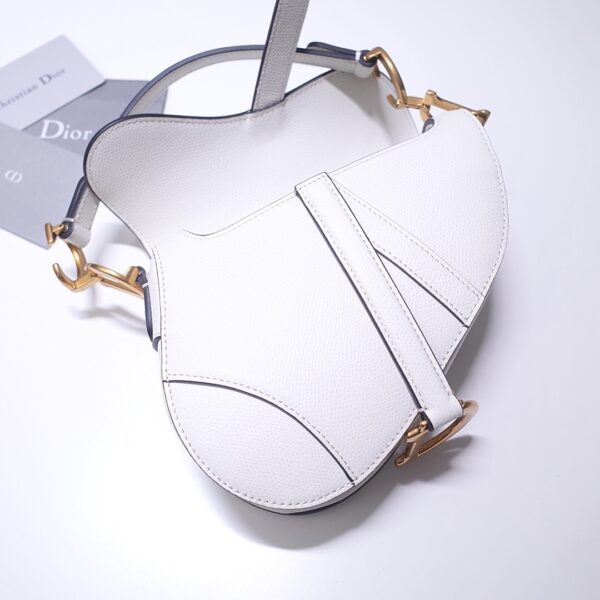 Dior Saddle
