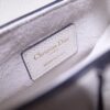 Dior Saddle