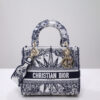 Dior Medium Lady D-Lite bag