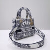 Dior Medium Lady D-Lite bag
