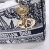Dior Medium Lady D-Lite bag