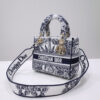 Dior Medium Lady D-Lite bag
