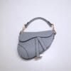 Dior Saddle