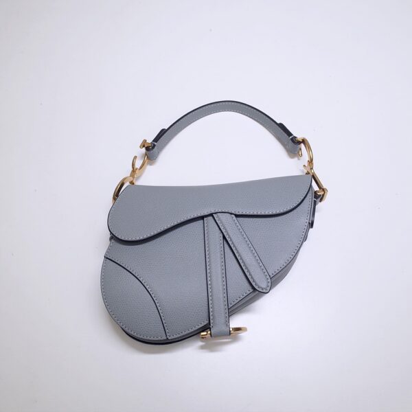 Dior Saddle