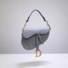 Dior Saddle