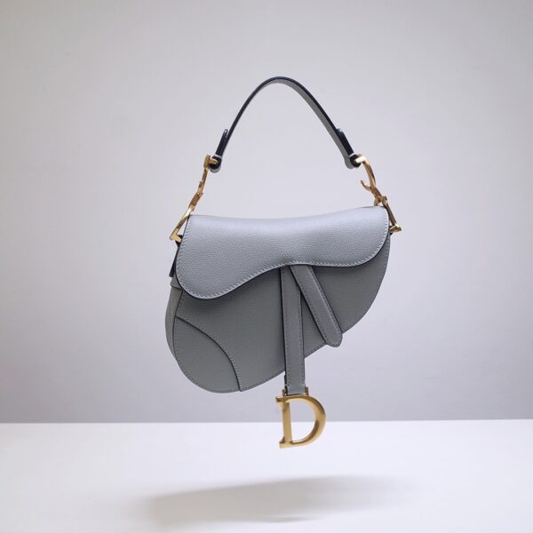 Dior Saddle