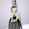 Dior Saddle